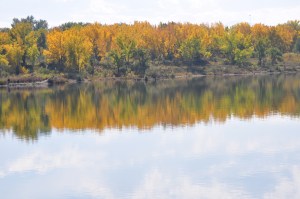 Reflection of Autumn Leaves