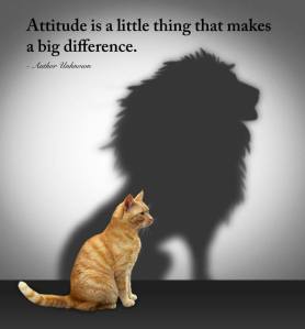 attitude