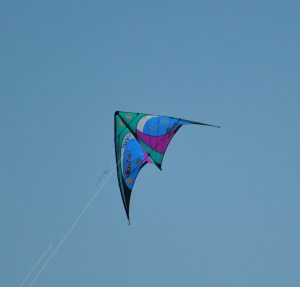 Kite