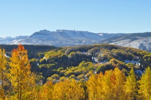 God's Beauty Manifest