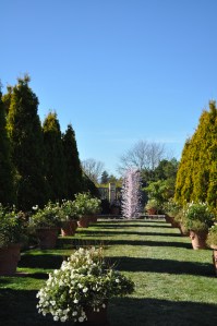 Chihuly Exhibit at Denver Botanic Gardens