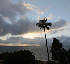 Maui Sunrise & Surf