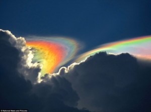 Fire Rainbows
